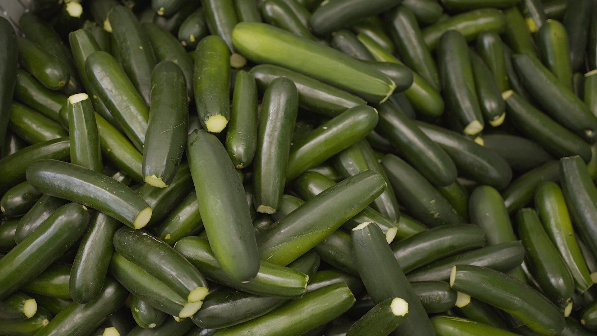 Zucchine Grigliate Nonno Gino 200g: Lavorate artigianalmente da coltivazioni Italiane - Nonno Gino
