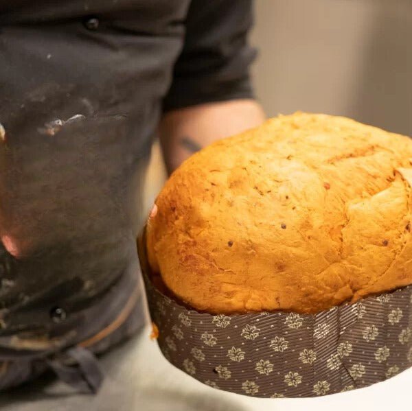 Pandujo il Panettone alla &